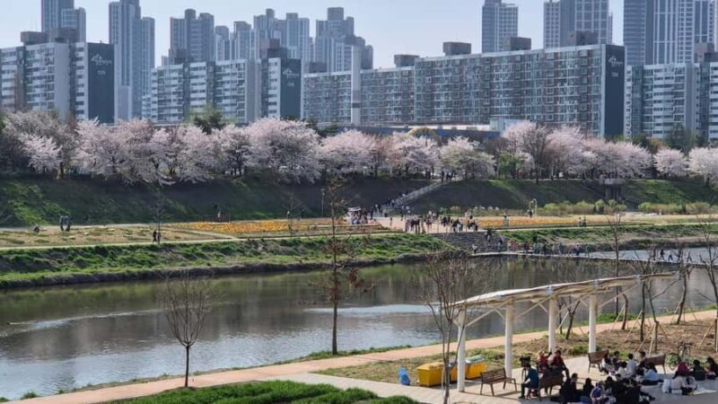 Seoul Riverside Walk and Korean-Style Picnic Experience - Key Points