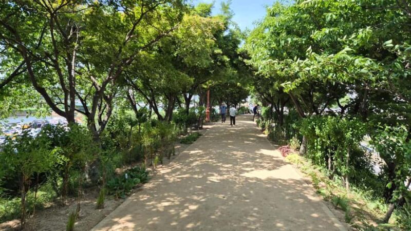 Seoul Riverside Walk and Korean-Style Picnic Experience - Continued Riverside Walk & Reflection (1:00 PM – 2:00 PM)
