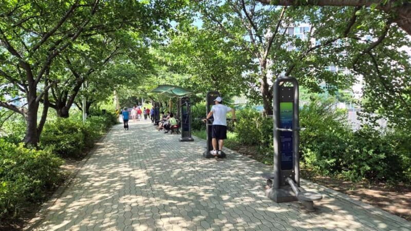 Seoul Riverside Walk and Korean-Style Picnic Experience - Duration and Timing