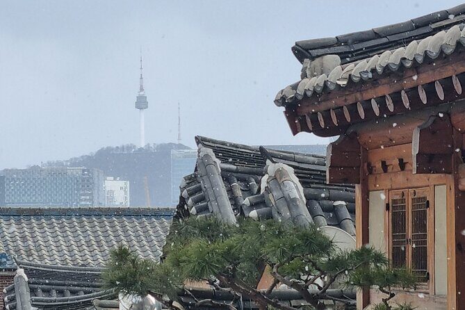 Seoul Royal Palaces and Hidden Gems Customizable Private Tour - A Deep Dive into the Experience