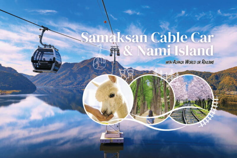 seoul-samaksan-cable-car-nami-with-alpaca-world-railbike