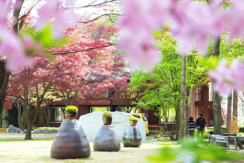 seoul-samaksan-cable-car-nami-with-alpaca-world-railbike