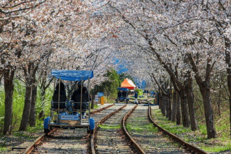 seoul-samaksan-cable-car-nami-with-alpaca-world-railbike