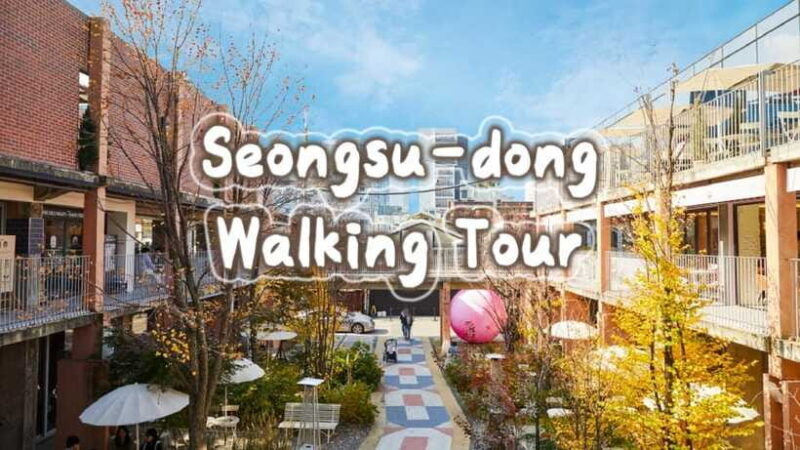 Seoul: Seongsu-dong K-Pop Culture Walking Tour - Who Will Love This Experience?
