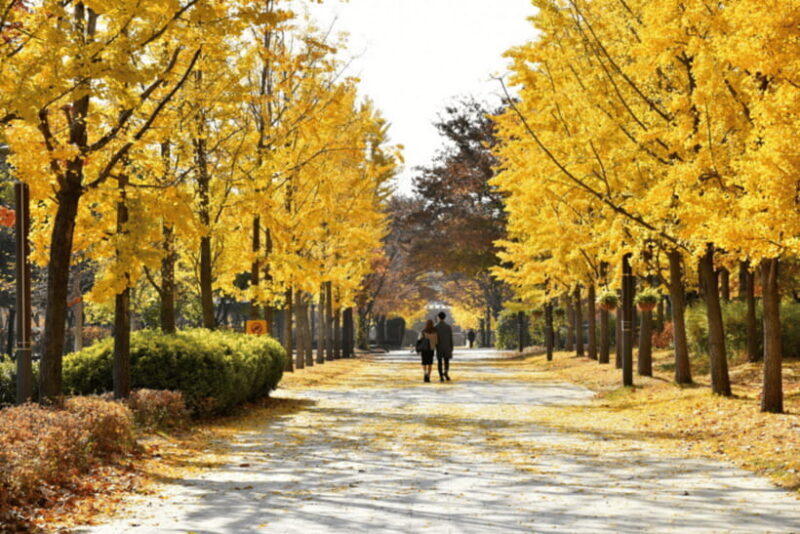 Seoul: Seongsu-dong K-Pop Culture Walking Tour - Frequently Asked Questions