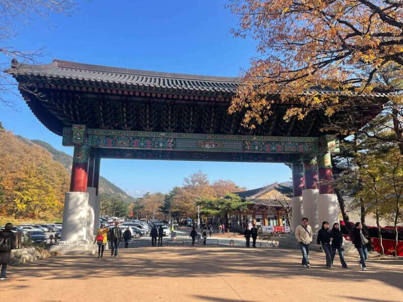 Seoul: Seorak Mountain, East DMZ, and Sokcho Tour - Key Points