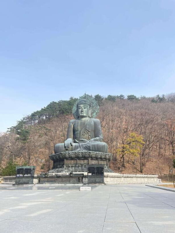 Seoul: Seorak Mountain, East DMZ, and Sokcho Tour - Who Will Love This Tour?