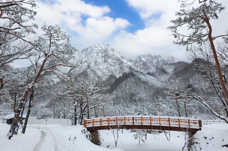 Seoul: Seorak Mountain, Nami Island, Eobi Ice Valley Tour - An In-Depth Look at the Tour Experience
