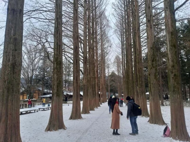 Seoul: Seorak Mountain+Nami Island+Eobi Ice Valley Tour - Final Thoughts