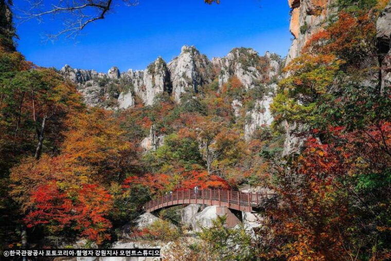 seoul-seorak-mountainnami-islandeobi-ice-valley-tour
