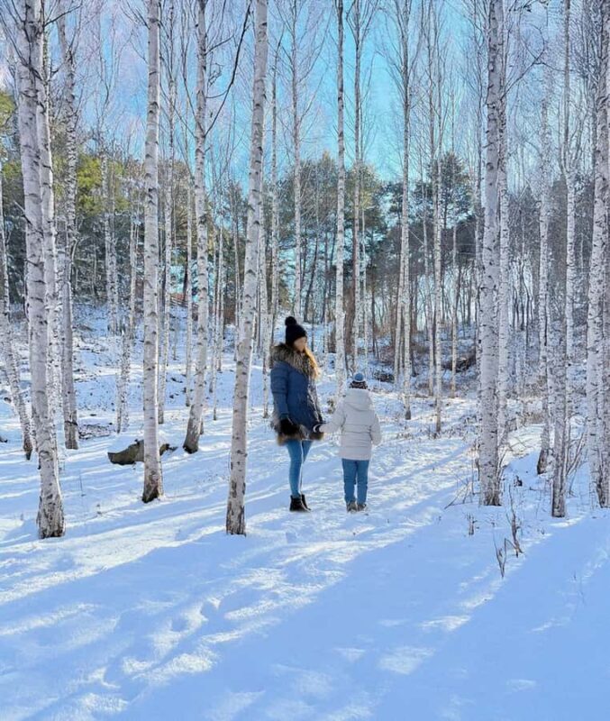 Seoul: Seorak Snowy Birch Forest & Maebawi Icewall Day Tour - An In-Depth Look at the Experience