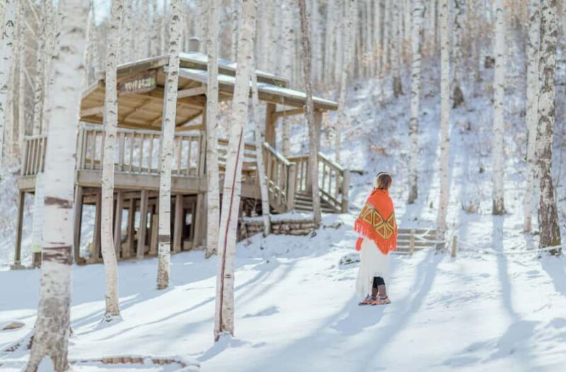 Seoul: Seorak Snowy Birch Forest & Maebawi Icewall Day Tour - Comfortable Return and Drop-offs