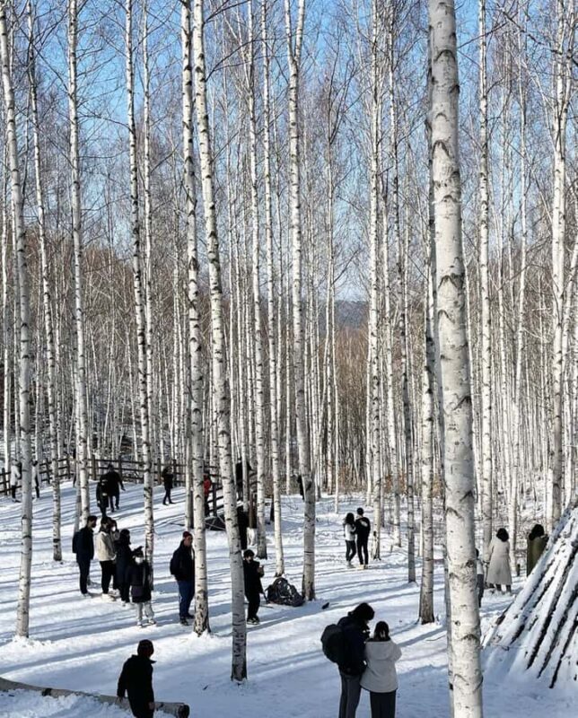Seoul: Seorak Snowy Birch Forest & Maebawi Icewall Day Tour - FAQ