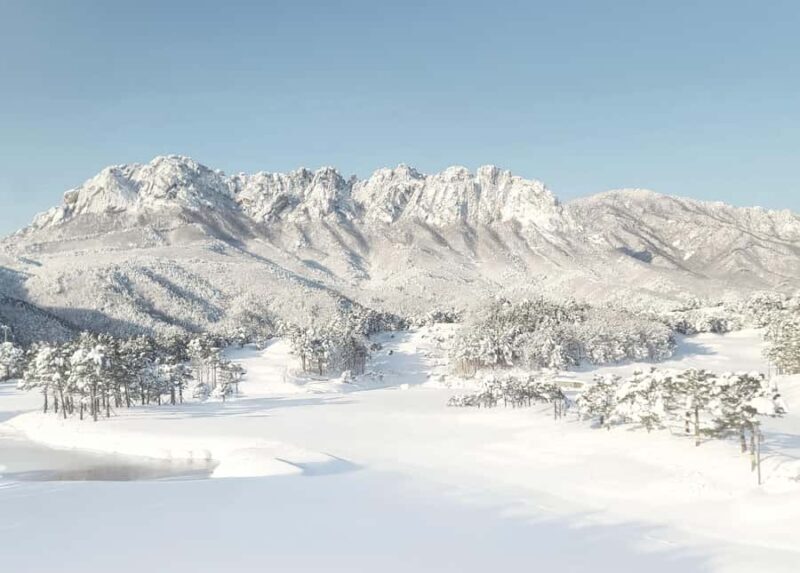 Seoul: Seoraksan National Park & Nami Island - A Closer Look at the Tour Experience