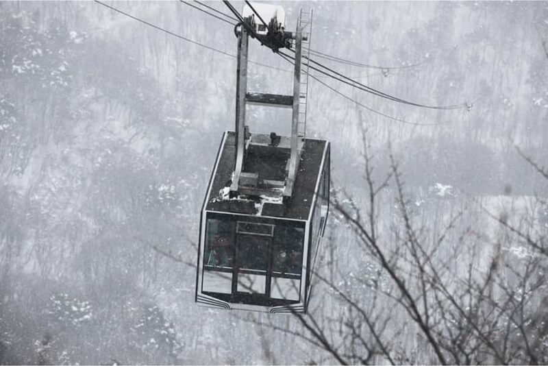 Seoul: Seoraksan National Park & Nami Island - The Sum Up: Who Is This Tour Best For?