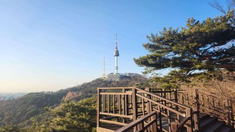 seoul-services-of-a-local-for-a-day-paperwork-tour-fun