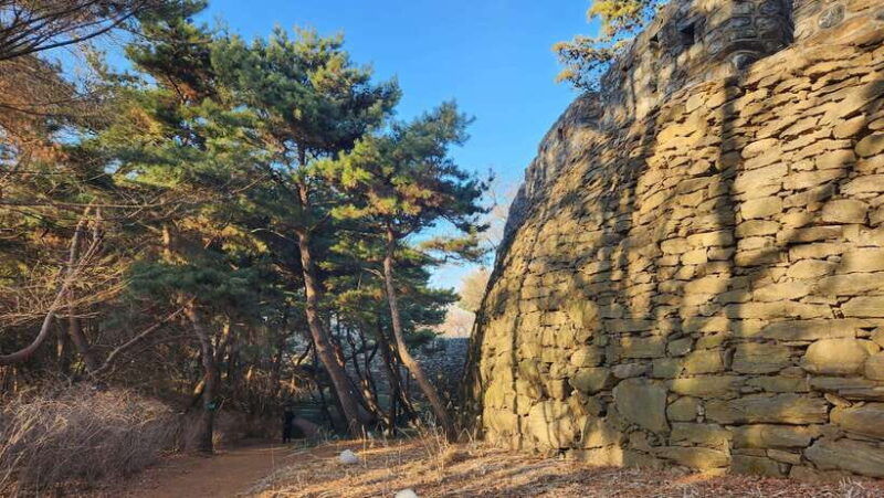 seoul-services-of-a-local-for-a-day-paperwork-tour-fun