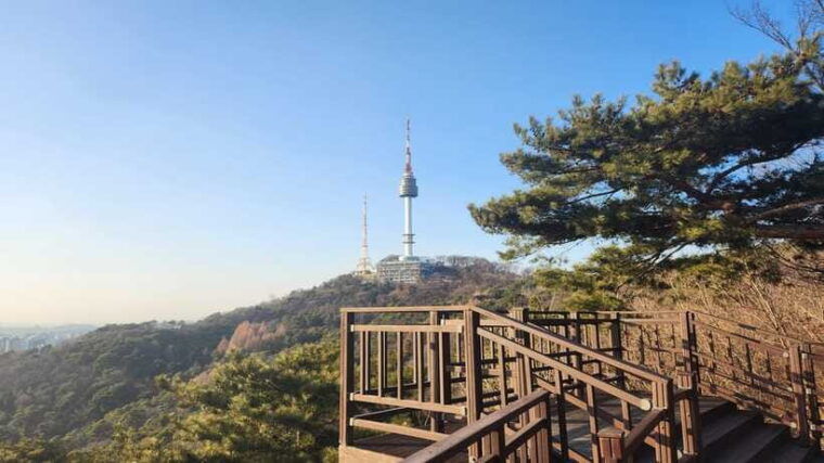 seoul-services-of-a-local-for-a-day-paperwork-tour-fun