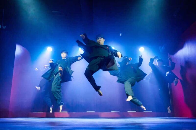 Seoul: SHOW'S Immersive Taekwondo Performance & Pub Night - What Makes This Experience Stand Out?