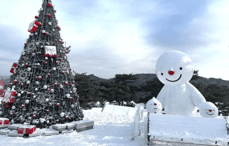 Seoul: SnowyLand in Vivaldi Park with Nami or Alpaca - Key Points