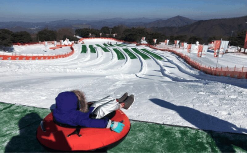Seoul: SnowyLand in Vivaldi Park with Nami or Alpaca - Who Will Love This Tour?