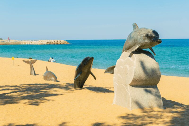 Seoul: Sokcho beach, market, hot spring and Seorak Cable Car - Who Will Love This Tour?