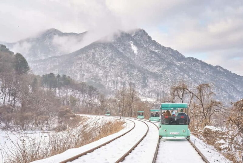 Seoul: Strawberry & Eobi Ice Valley & Nami + Optional Spots - Authentic Experiences and Hidden Details