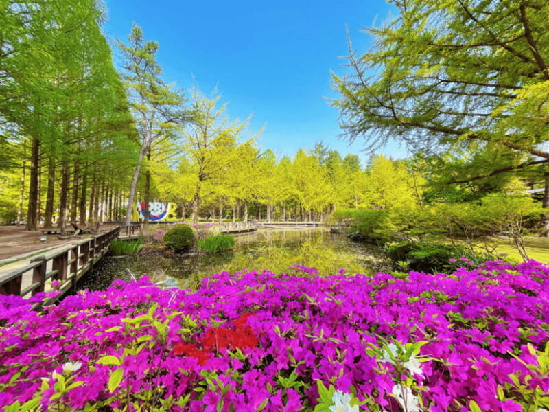 seoul-strawberry-nami-island-garden-of-morning-calm-tour