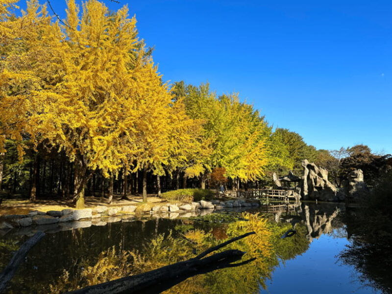 seoul-strawberry-nami-island-garden-of-morning-calm-tour