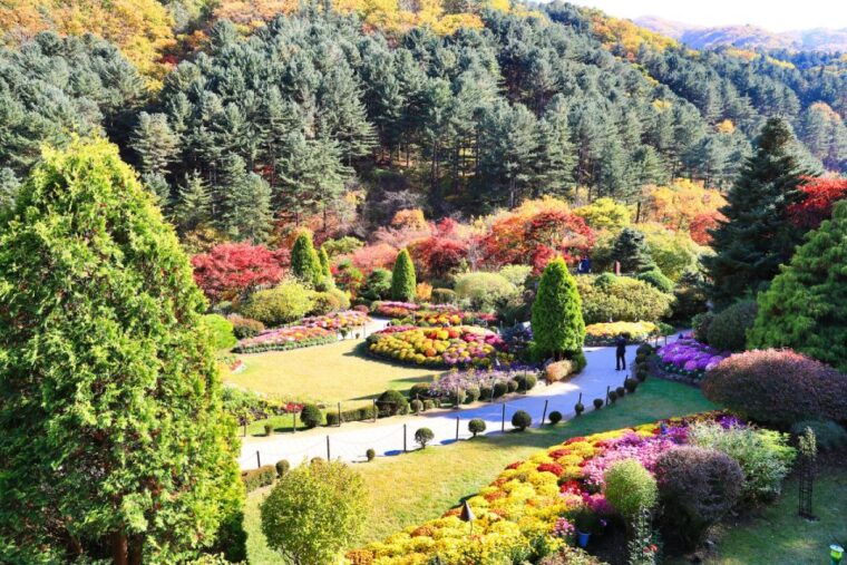 seoul-strawberry-nami-island-korean-garden-railbike