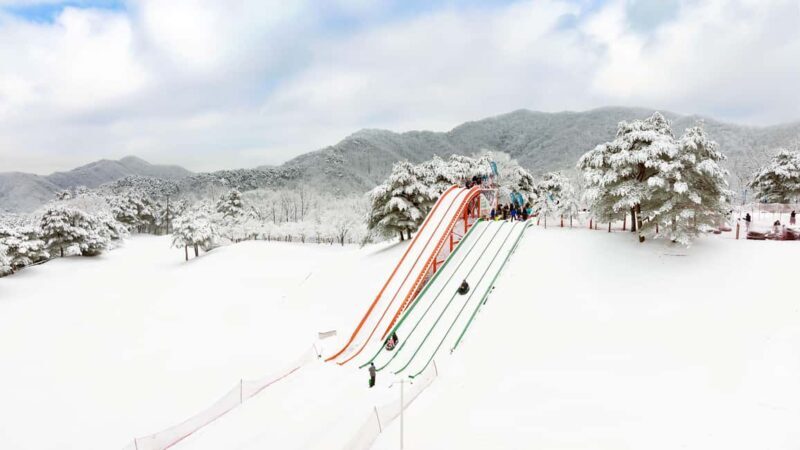 Seoul: Strawberry Picking, Winter Sled with Eobi Ice Valley - Key Points