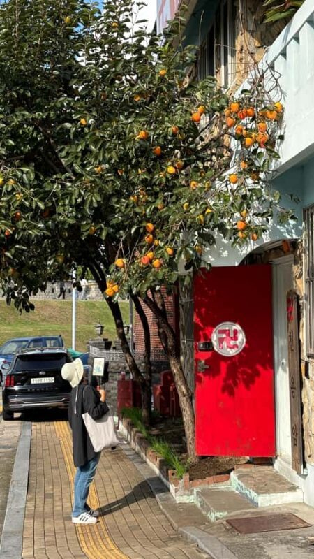 Seoul: Suwon History & Food Tour with Royal Tea and Dessert - A Walk Through History at Hwaseong Fortress