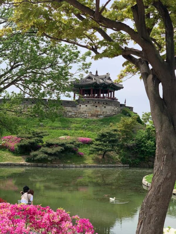 Seoul: Suwon History & Food Tour with Royal Tea and Dessert - What Makes This Tour Stand Out