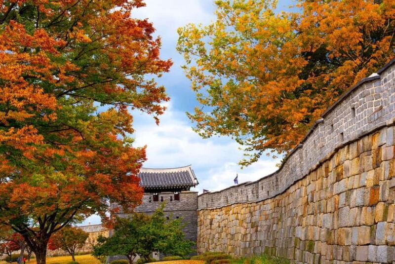 Seoul: Suwon Hwaseong Fortress & Korean Folk Village Tour - An In-Depth Look at the Tour Experience