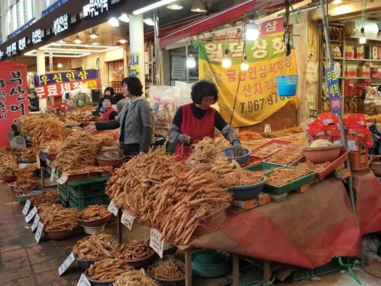 seoul-temple-vegan-cooking-class-oriental-medicine-tour