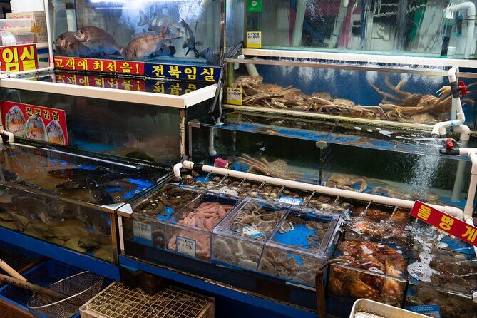 Seoul: The Biggest Sea-food Noryangjin Market Gastroventure Tour - Final Thoughts