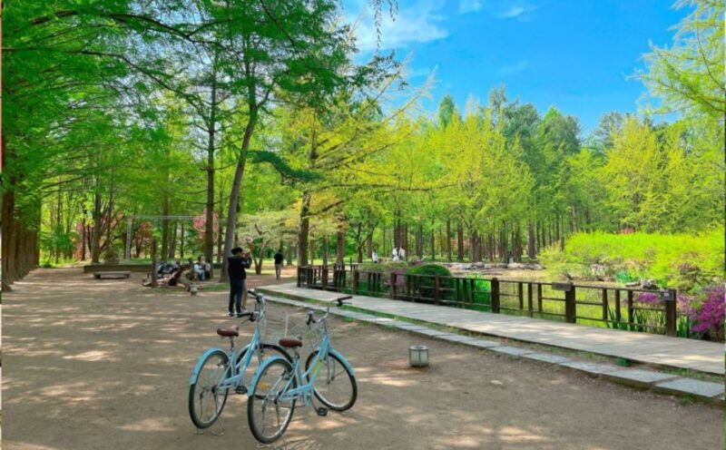 seoul-the-painter-show-with-nami-island-or-alpaca-world