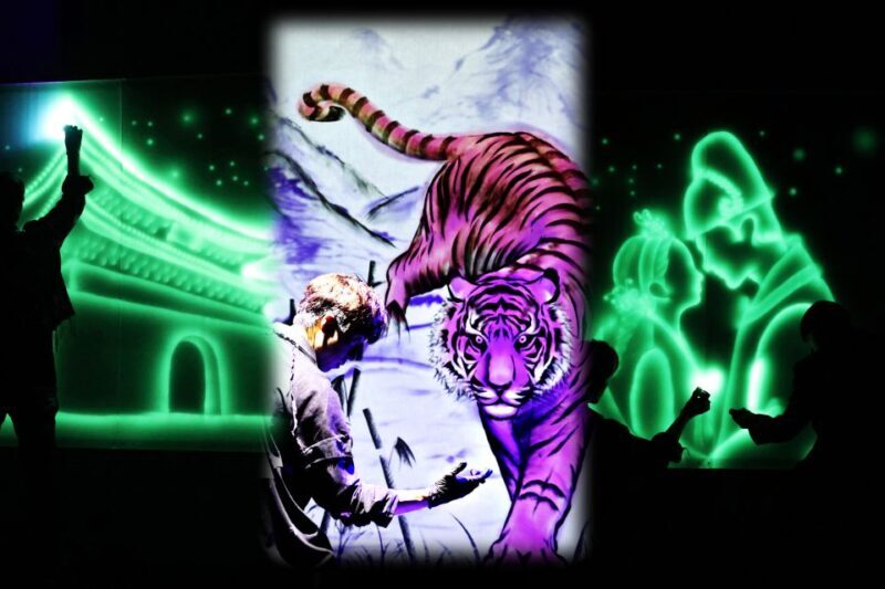 Seoul: The Painter Show with Nami Island - Price, Value, and Practical Tips