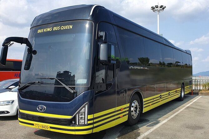 Seoul to/from Nami Island: Round trip Shuttle Bus Service - Who Should Consider This Shuttle Service?