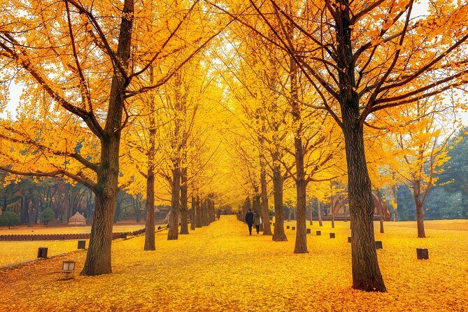 Seoul to/from Nami Island: Round trip Shuttle Bus Service - Final Thoughts