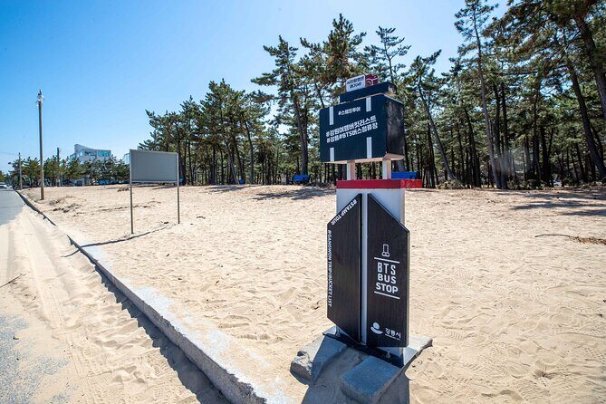 Seoul to Hyangho Beach Mt Seorak Abai Village Tour - Who Should Consider This Tour