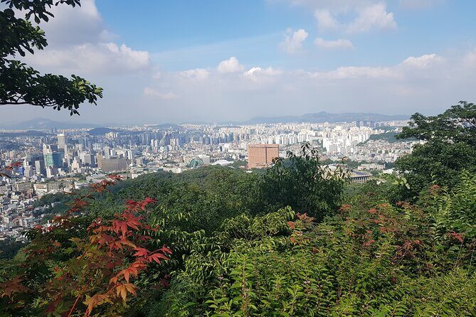 Seoul Tower walking tour - Who Would Love This Tour?