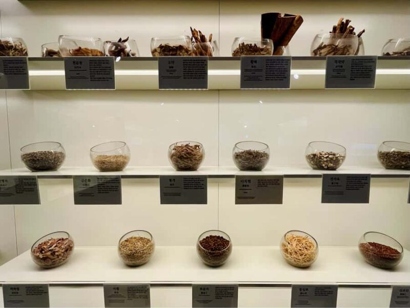 Seoul: True Locals' Street Food & Drink + Market Explore - Final Thoughts