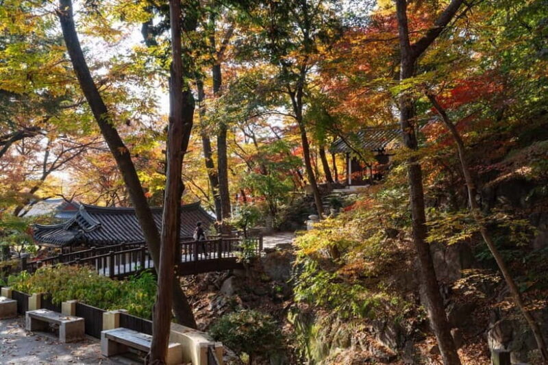 Seoul Unveiled: Untold Stories & Lost Histories Tour - Practical Details and What You Should Know