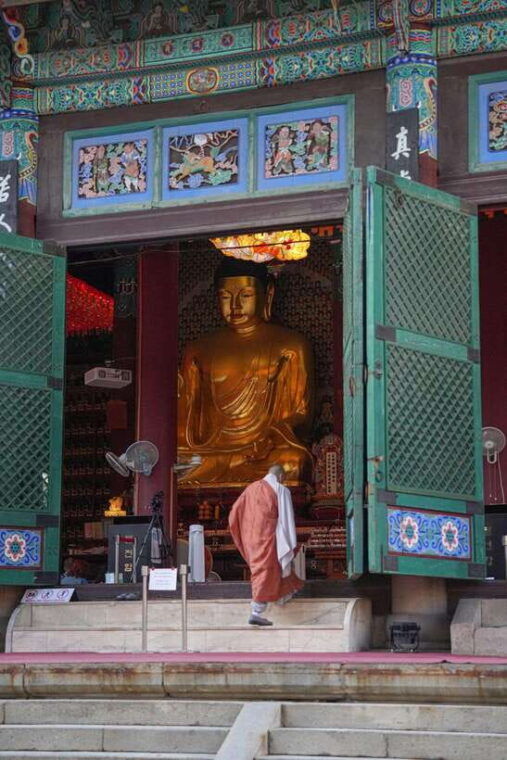 seoul-vegan-delight-temples-teas-treats-tour