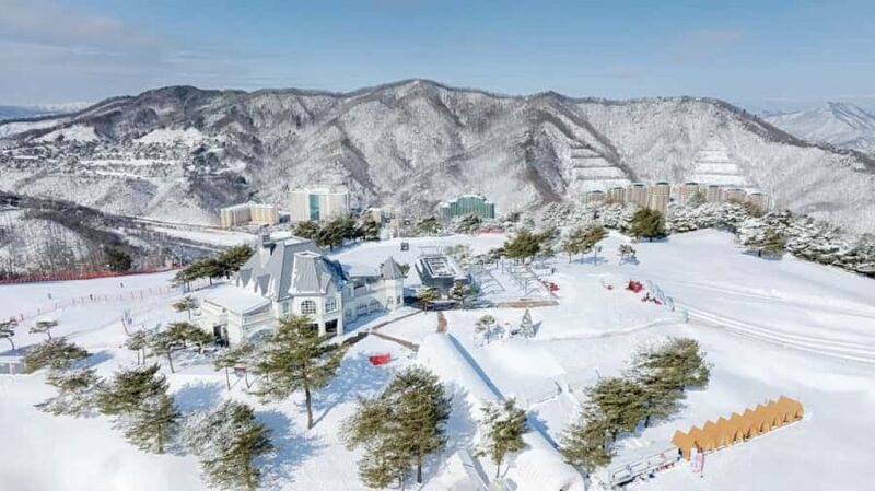 Seoul: Vivaldi Park Tickets for Snowyland Access, Shuttle - Key Points