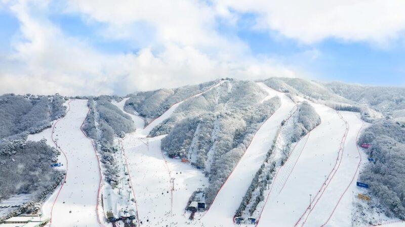 Seoul: Vivaldi Park Tickets for Snowyland Access, Shuttle - Practical Details and What You Need to Know