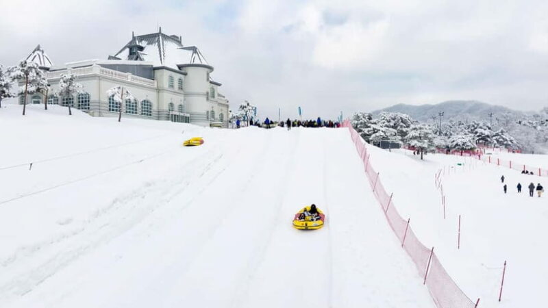 Seoul: Vivaldi Park Winter Ski with Nami Island Day Tour - What to Expect from the Tour