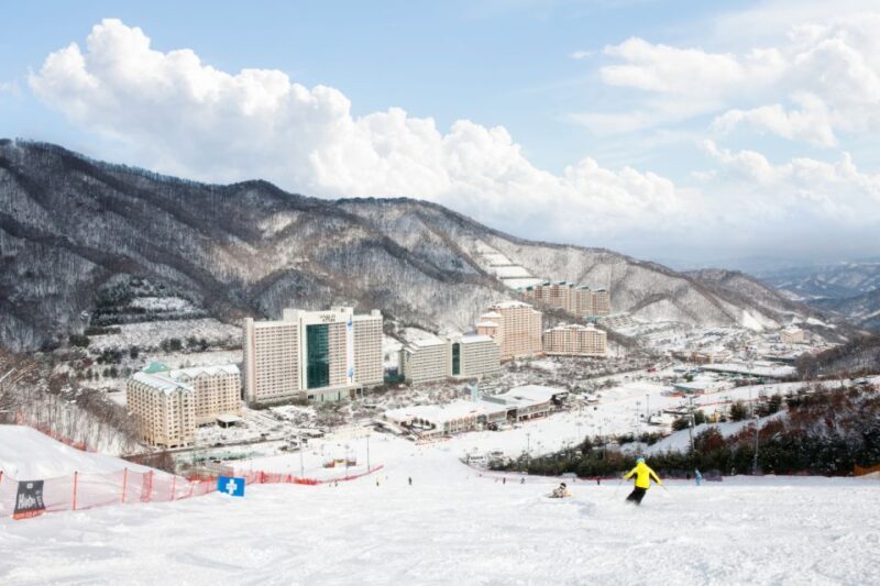 Seoul: Vivaldi Park Winter Ski with Nami Island Day Tour - Final Thoughts
