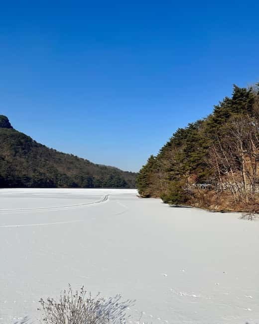 Seoul: Winter Day Tour in Pocheon with Strawberry Picking - Introduction